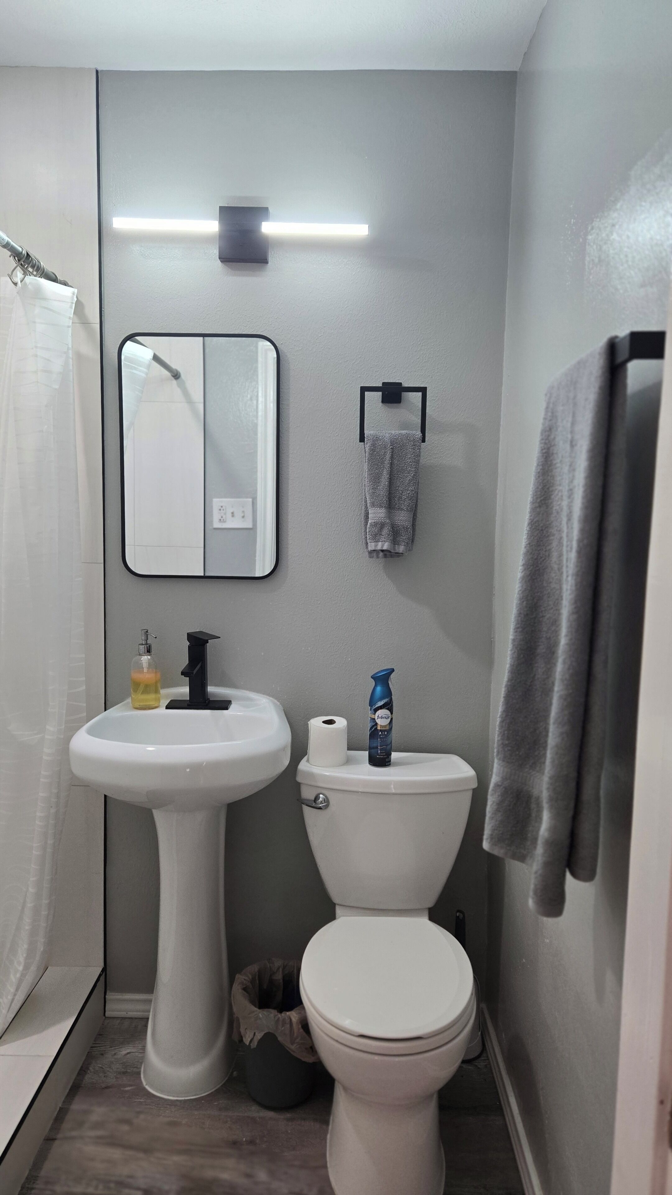 Hair dryer, towels, soap, toilet paper