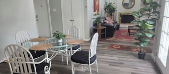 Cozy 1-bedroom in a beautiful house, Only Few Blocks From TWU