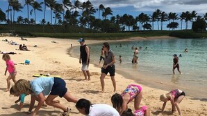 Ein Strand mit Palmen, Menschen, die sonnenbaden, und spielenden Kindern im Sand.