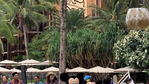 Mickey Maus und Minnie Maus als Maskottchen in einem tropischen Resort mit Palmen und Liegestühlen.