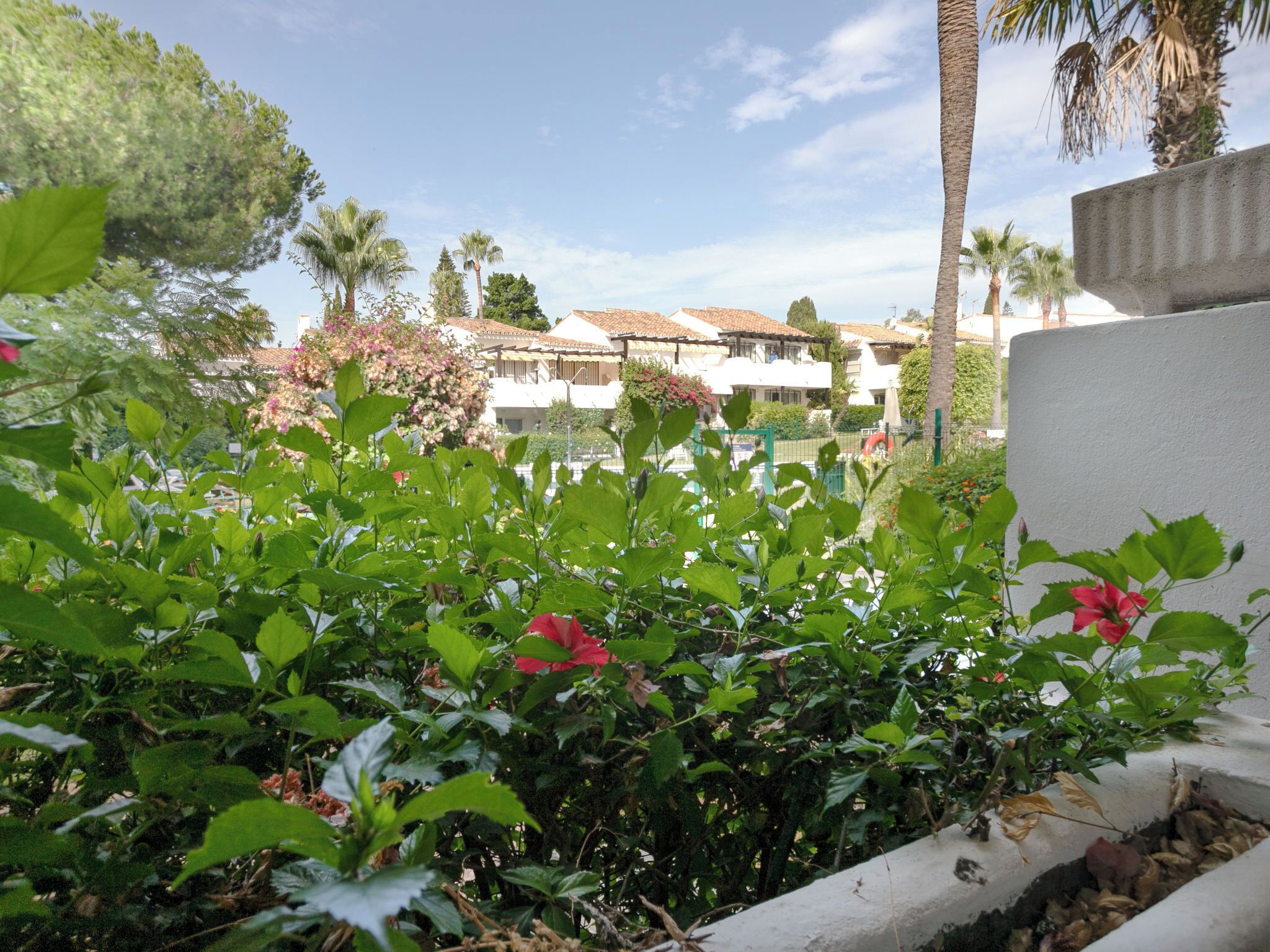 A garden with green foliage and red flowers, a white building with a tiled roof, and palm trees in the background.