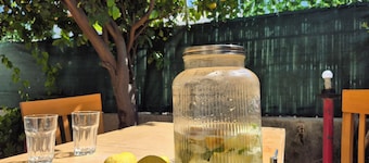 The Lemon House
