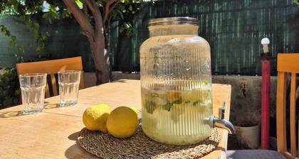 The Lemon House