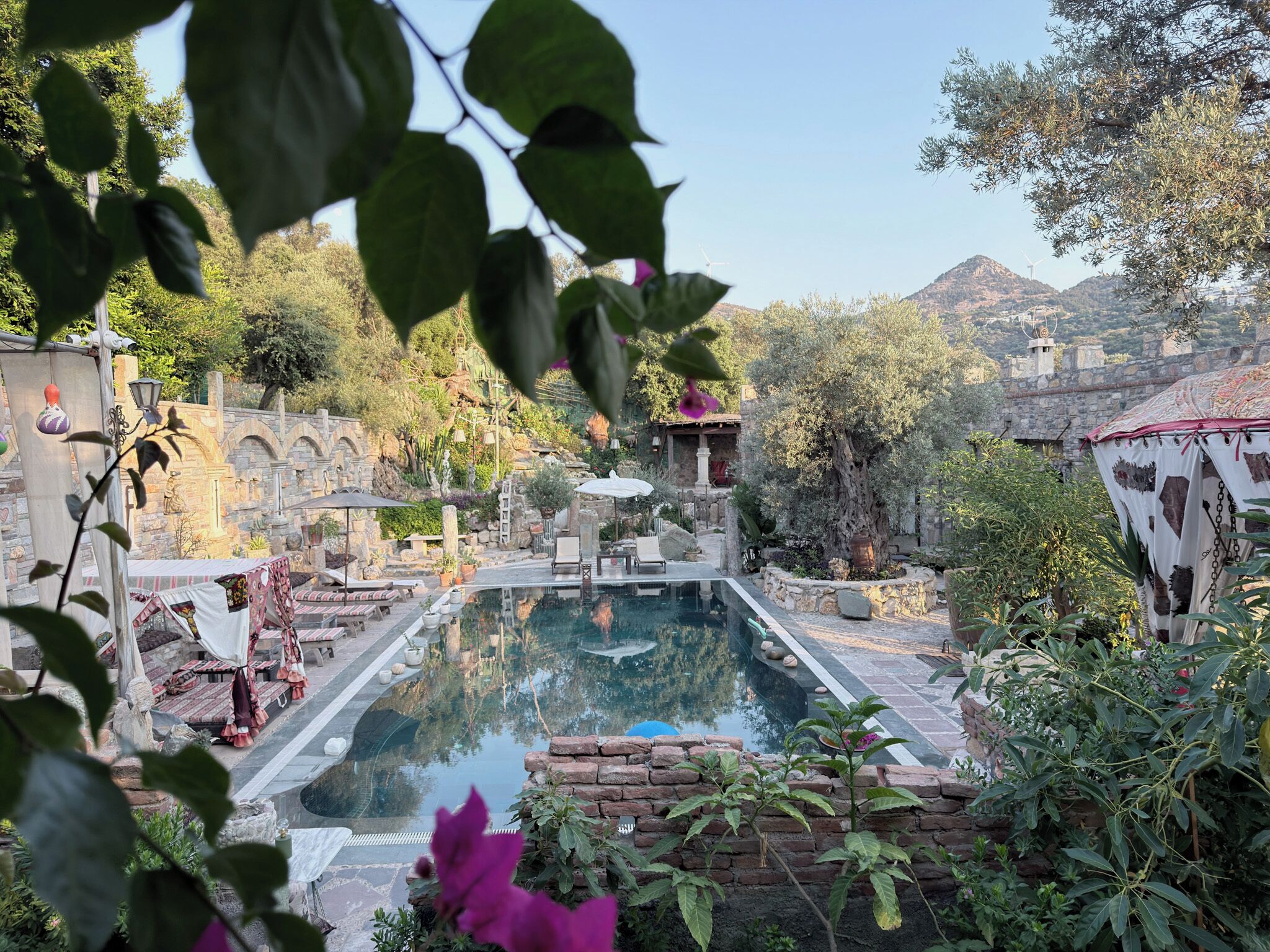Seasonal outdoor pool, pool umbrellas, sun loungers