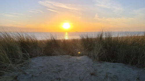 Dual Holiday Cottage for 8 in Baarland