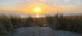Dual Holiday Cottage for 8 in Baarland