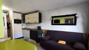 Ein gemütlicher Raum mit einer Küchenzeile, einem Schlafsofa, einem Bett und einem Spiegel.