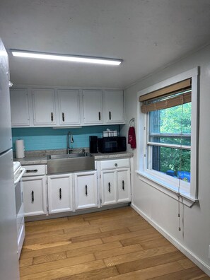 A compact kitchen with white cabinets, a stainless steel sink, a microwave, and a window with a view of greenery. - White River Cabin - Private
Dock & Wildlife (Gosport)