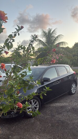 Une voiture noire est garée sur un parking, avec un palmier et des fleurs roses en arrière-plan.