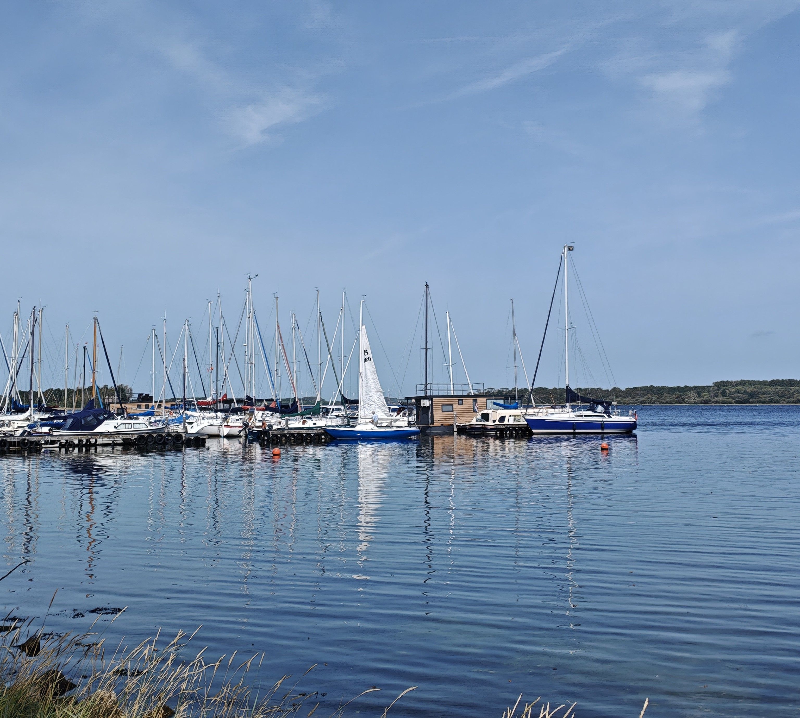 Ein Yachthafen mit mehreren Segelbooten, ruhigem Wasser und wolkenlosem Himmel.