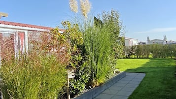 Un jardin avec différentes sortes de plantes et un sentier.