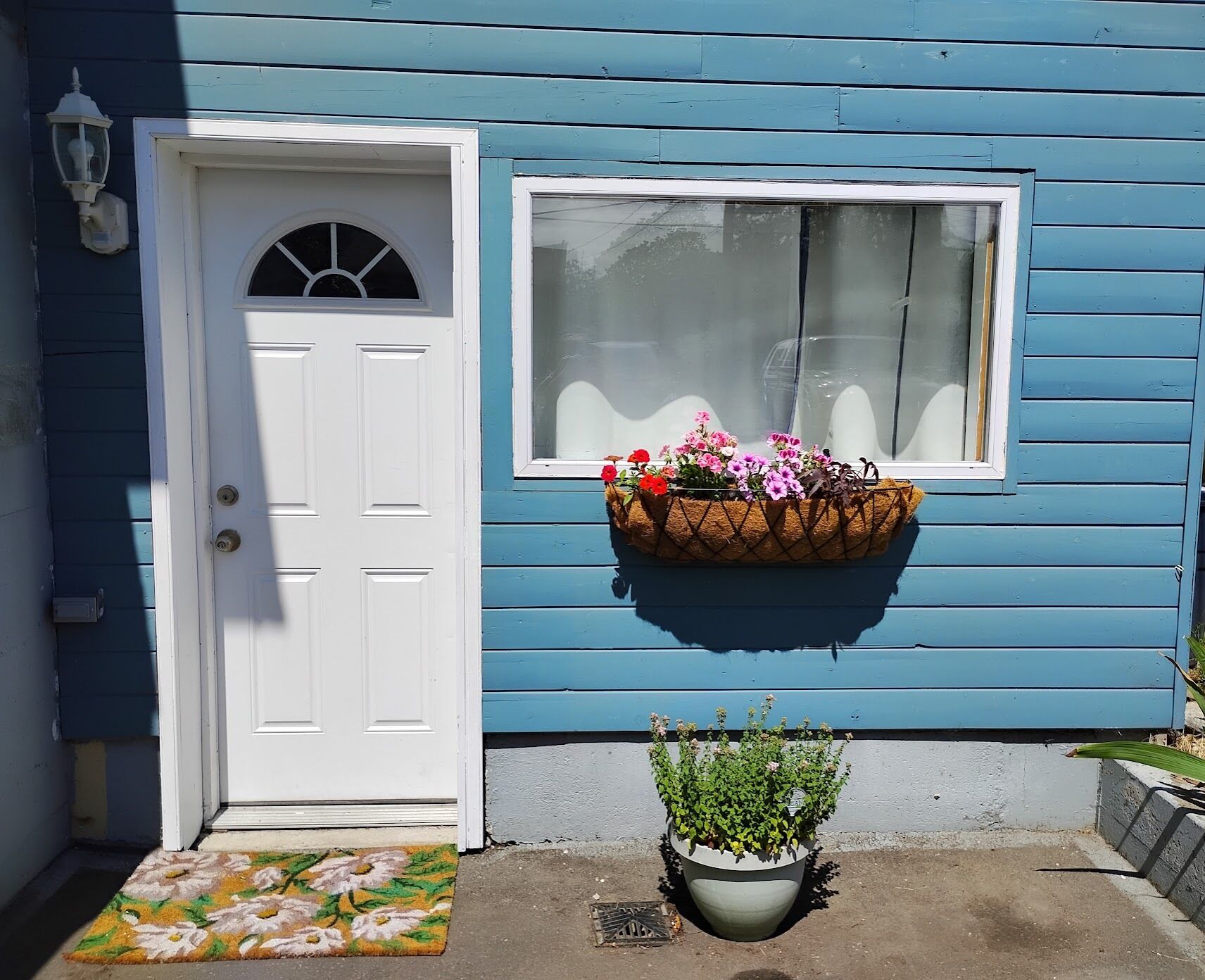 A house with a white door, a window with a flower basket, and a potted plant on the ground.