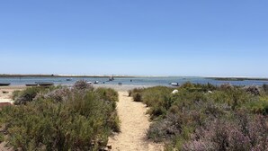 Ein Strandweg führt zum Meer, mit Booten und vereinzelter Vegetation.