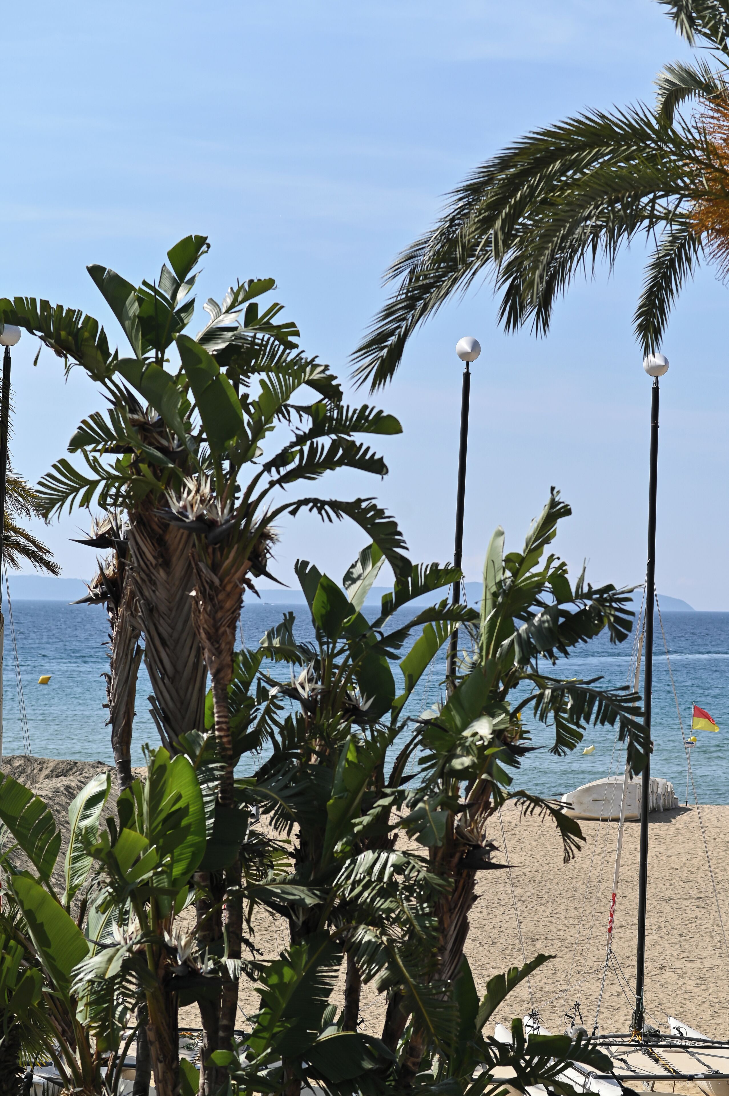 A beach with palm trees, a clear sky, and a calm sea.