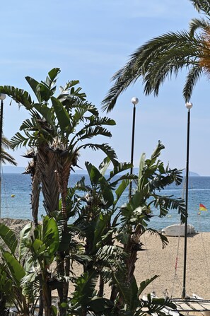 Ein Strand mit Palmen, blauem Himmel und ruhiger See.