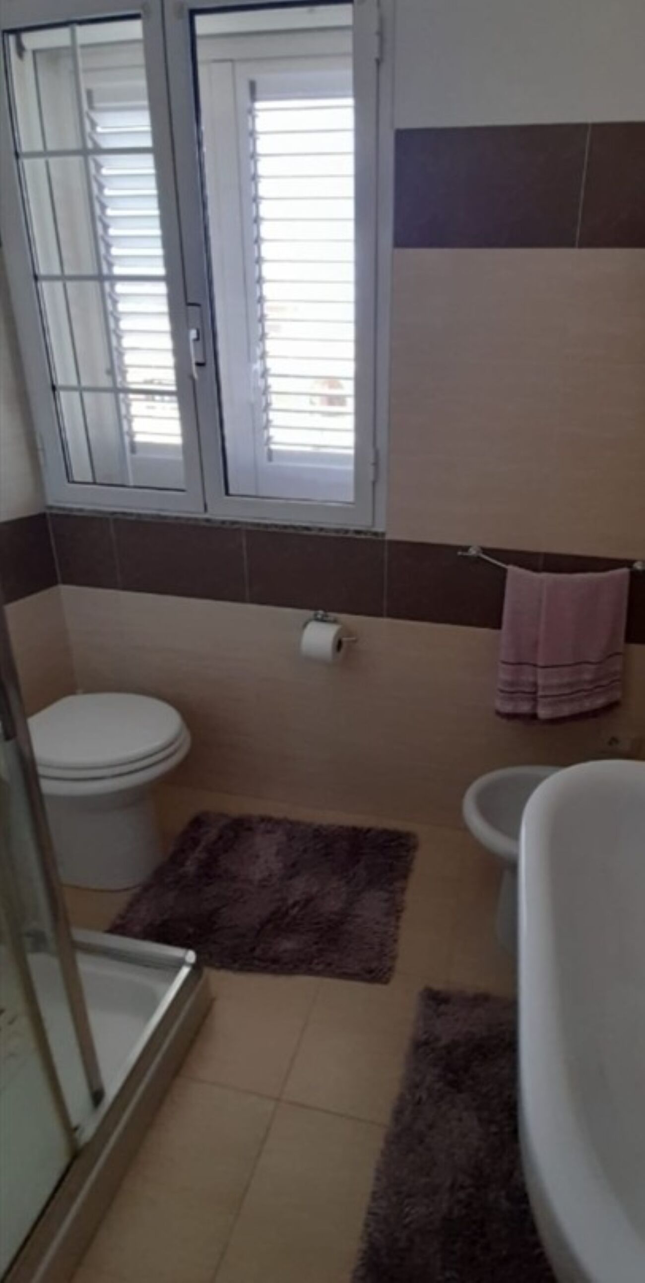 Ein Badezimmer mit Toilette, Bidet und Duschbereich.