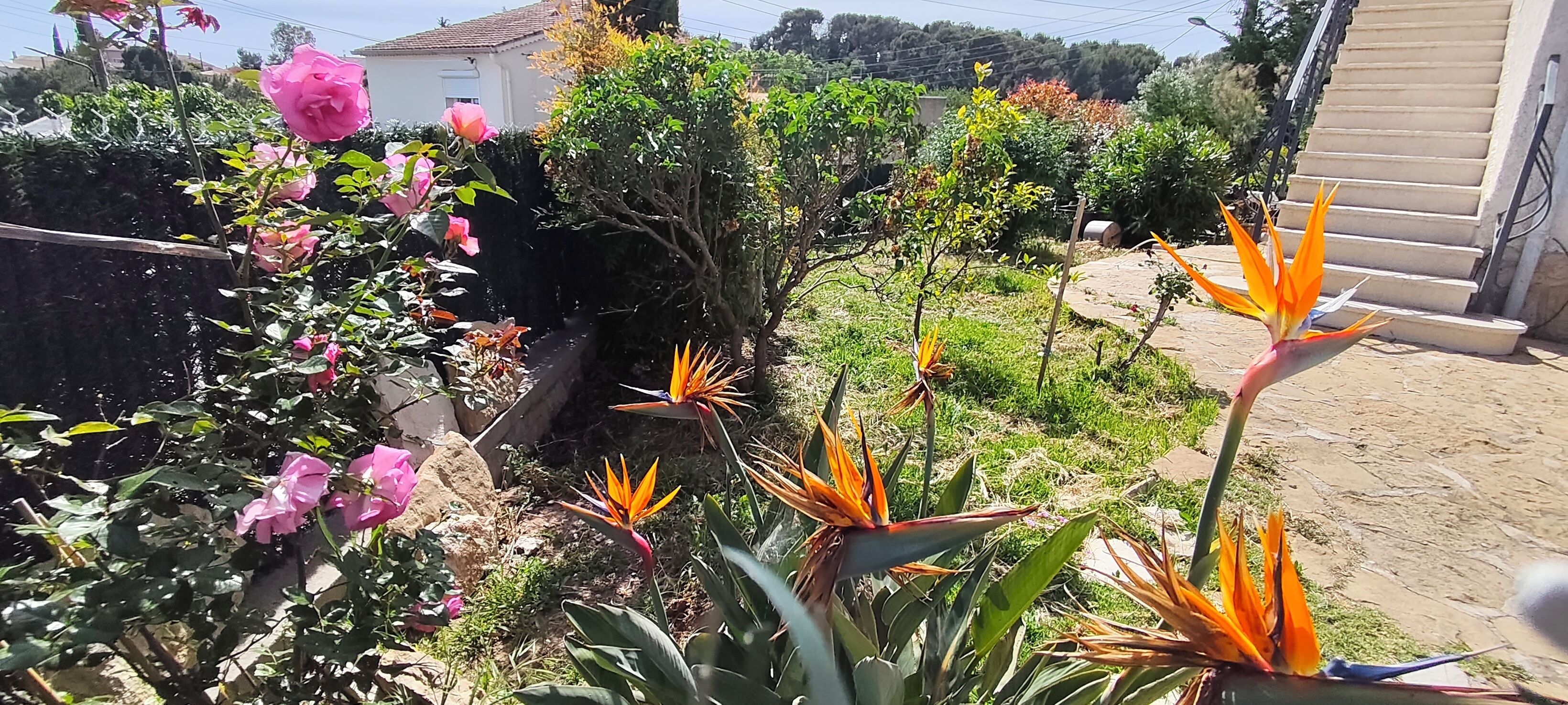 Jardines del alojamiento
