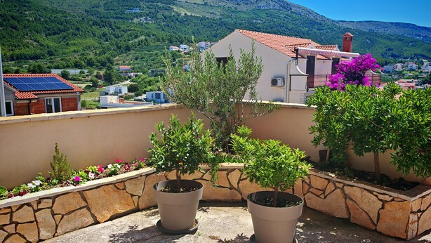 Eine Dachterrasse mit Blumentöpfen und einer Steinmauer.