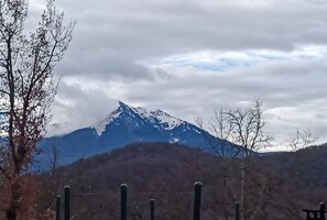 Una muntanya amb cims nevats, un cel nuvolós i arbres sense fulles.