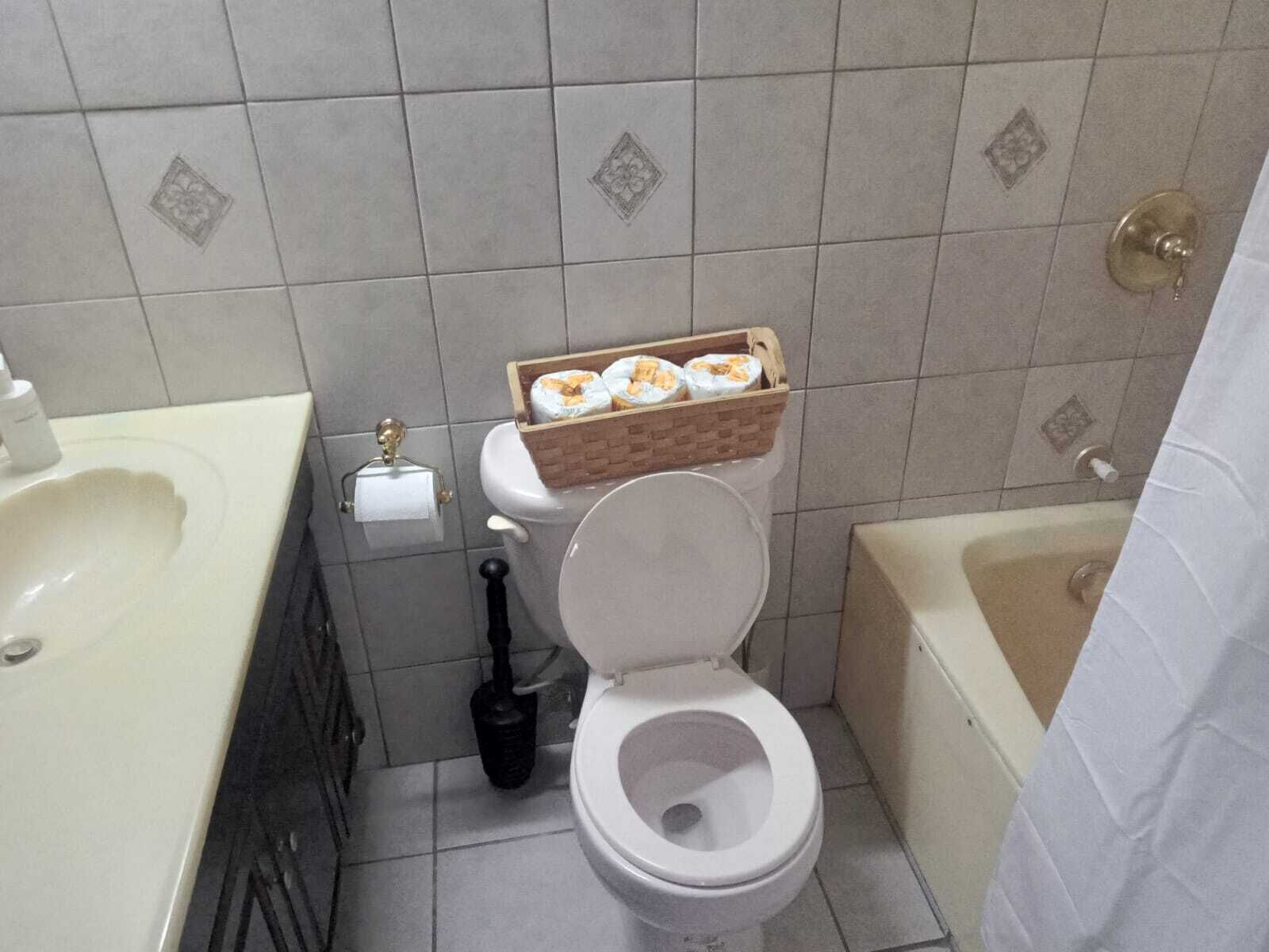 Serviettes fournies, savon, papier toilette