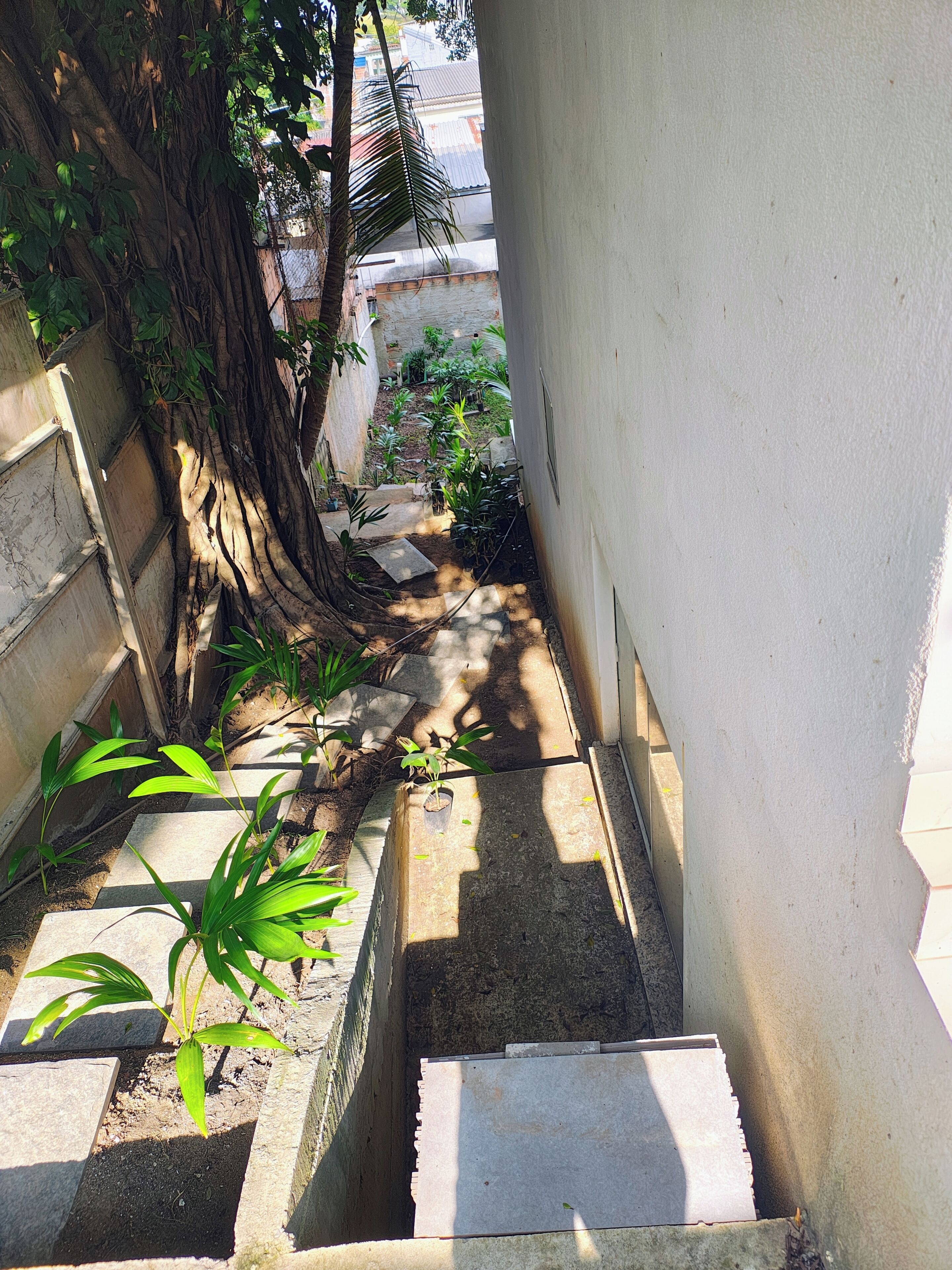 Um caminho estreito ao ar livre com degraus que levam a um edifício, cercado por vegetação e uma árvore com raízes expostas.