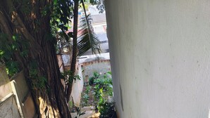 Un estrecho sendero exterior con escalones que conducen a un edificio, rodeado de follaje y un árbol de raíces expuestas.