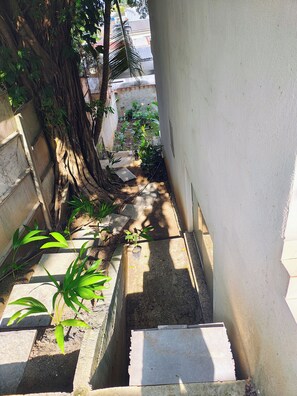 Um caminho estreito ao ar livre com degraus que levam a um edifício, cercado por vegetação e uma árvore com raízes expostas.