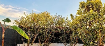 Haus mit Klima, Terrasse, Garten und Strand 2 Min.