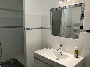 Ducha, toallas, papel higiénico