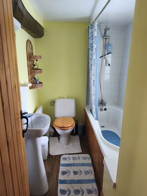 Hair dryer, towels, soap, toilet paper - Vrbo Property (Josselin)