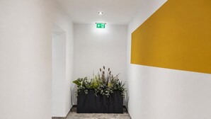 Un pasillo con una maceta negra con plantas, una pared blanca y una pared de acento amarilla.