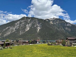 A mountain landscape with a town in the foreground, featuring buildings with traditional architecture and a field of yellow flowers.