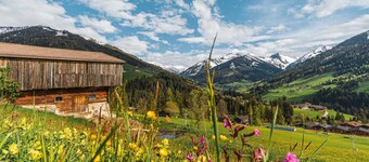 NINA's Chalet – Pool & Sauna Access