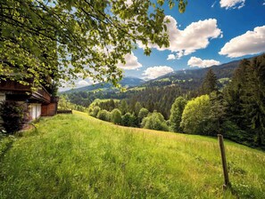 Ländliche Landschaft mit einem Holzhaus, üppigen grünen Feldern und einem bewaldeten Berg im Hintergrund.