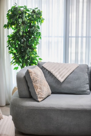 A grey sofa with a beige throw blanket and a patterned pillow, a green plant, and a window with sheer curtains. - Apartment in Cairo 3BR with AC (Cairo Governorate)