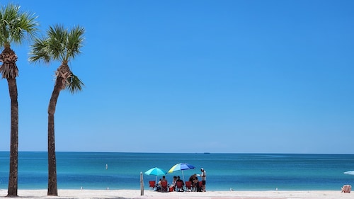 Cozy large 1-bedroom cottage in peaceful St. Pete w AC, Pool, close to beaches