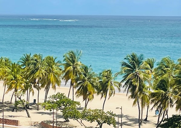 Una playa con palmeras y el océano.