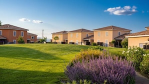 Un vecindario con casas, un césped cuidado y arbustos de lavanda.