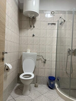 Un bagno con un WC, una doccia e un portasciugamani per carta igienica.