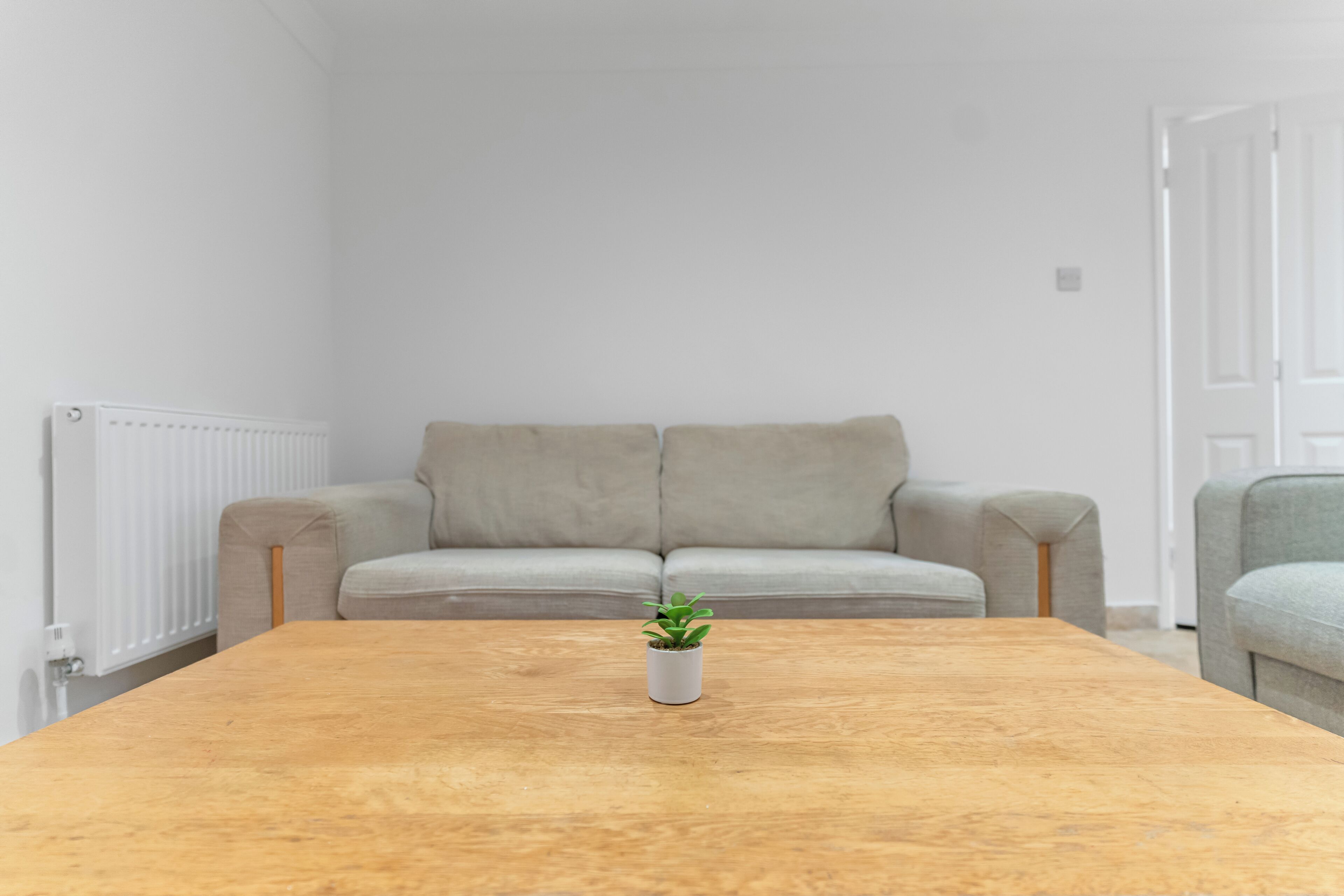 A room with a wooden table, a grey sofa, and a small potted plant.