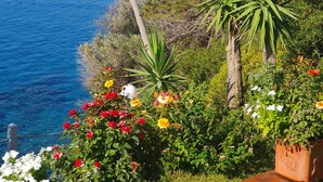 Une vue sur la côte, avec un voilier, des palmiers et une variété de fleurs.