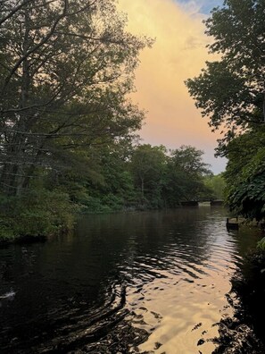 A river surrounded by dense trees and a bridge in the distance.