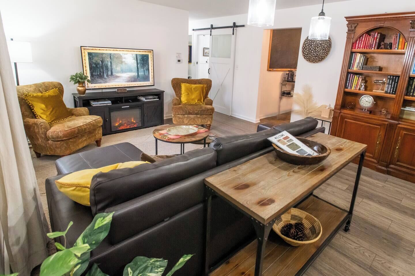 TV, fireplace, books