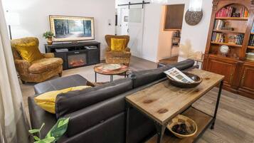 TV, fireplace, books