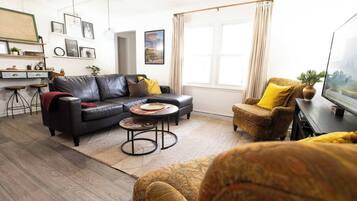 TV, fireplace, books