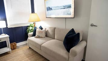 TV, fireplace, books