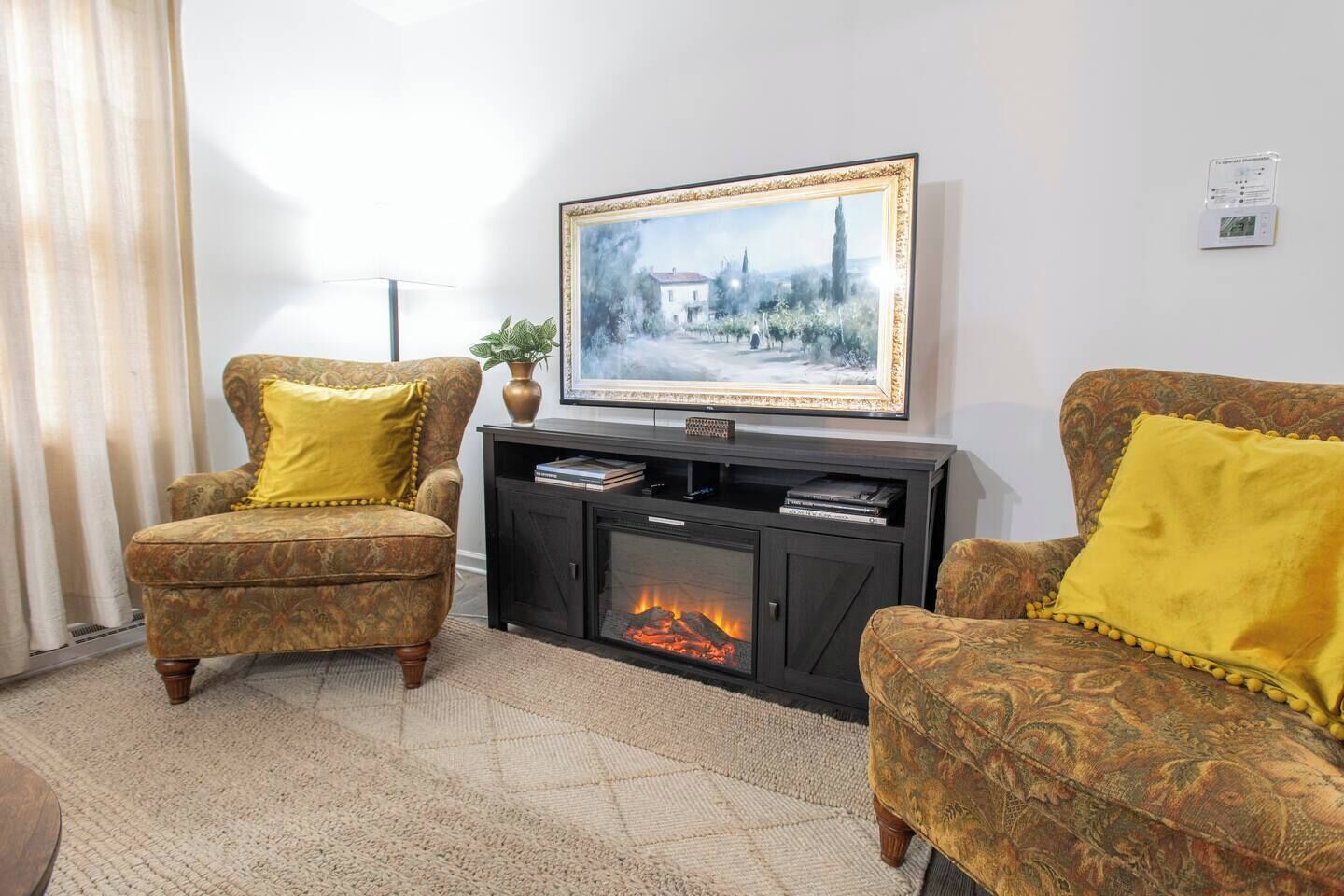 TV, fireplace, books