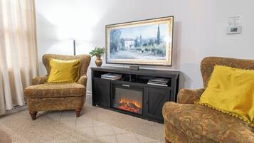 TV, fireplace, books
