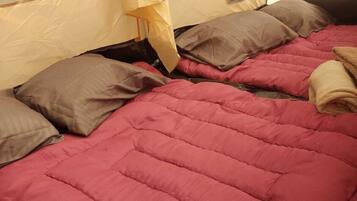 1 bedroom, Internet