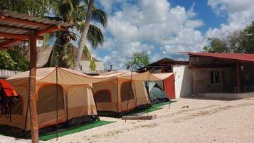 Property grounds